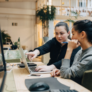 women working on the computer